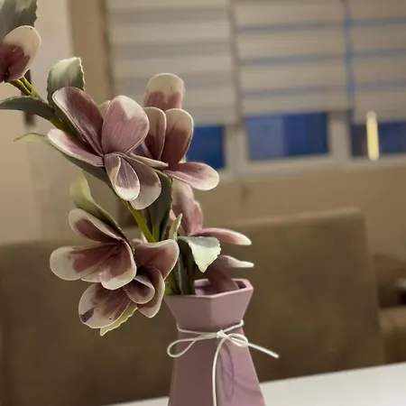 Centar- Montana 公寓 兹拉蒂博尔