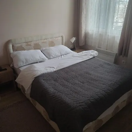 Centar- Montana 公寓 *