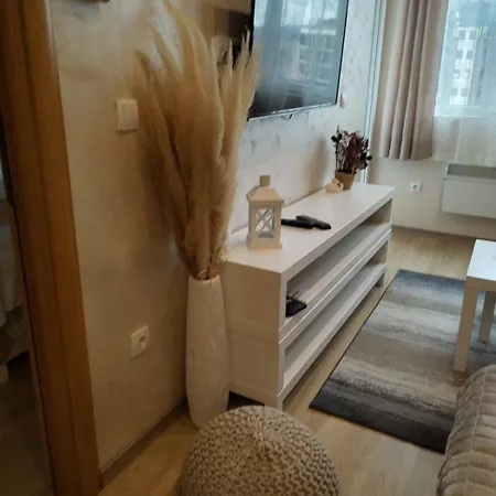 Apartment Centar- Montana *