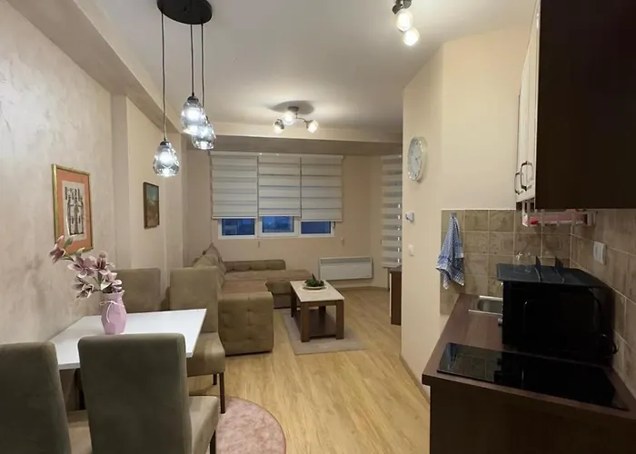 Apartment Centar- Montana Zlatibor