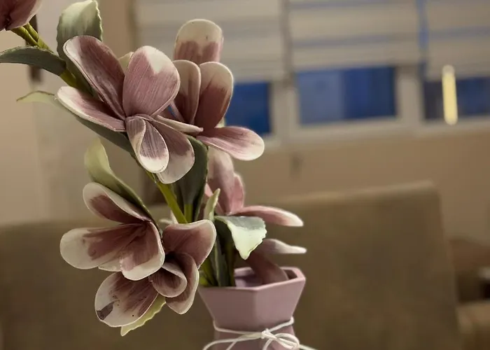 Centar- Montana Daire Zlatibor