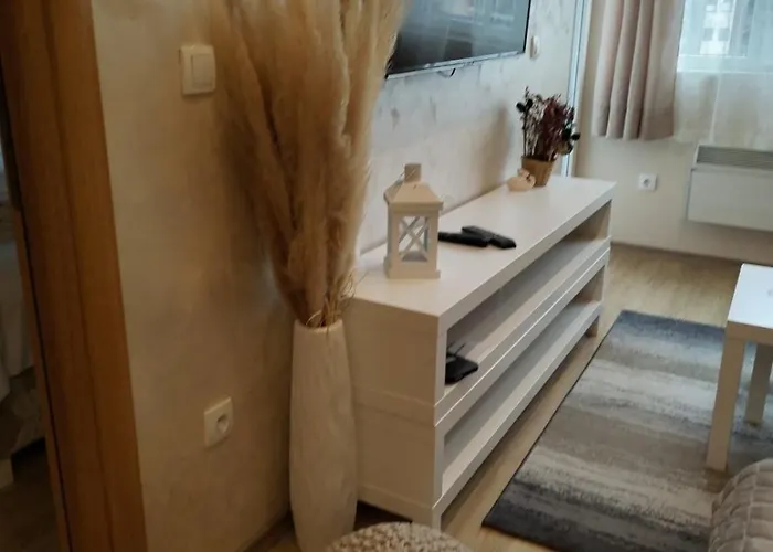 Apartment Centar- Montana *