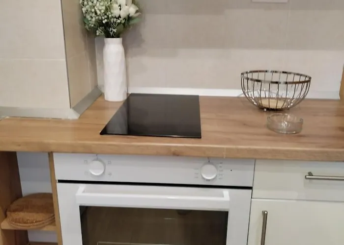 Apartment Centar- Montana Zlatibor